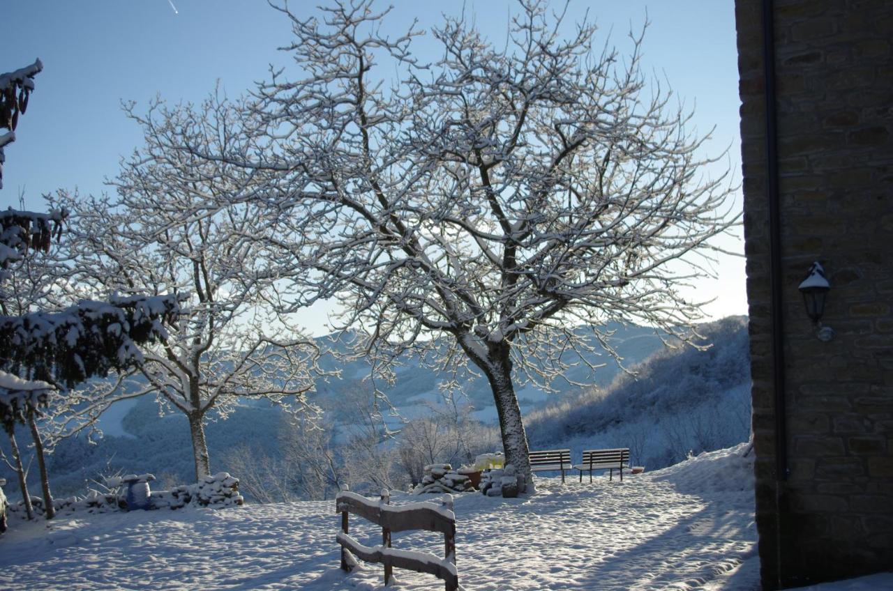 Bed and Breakfast Vinco Castel del Rio Exterior foto